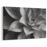 Monochrome Botanical Wall Art - Succulent Close-Up for Modern Decor