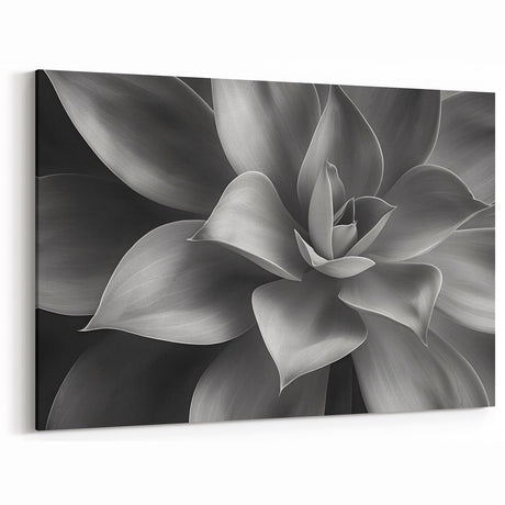 Monochrome Botanical Wall Art - Succulent Close-Up for Modern Decor