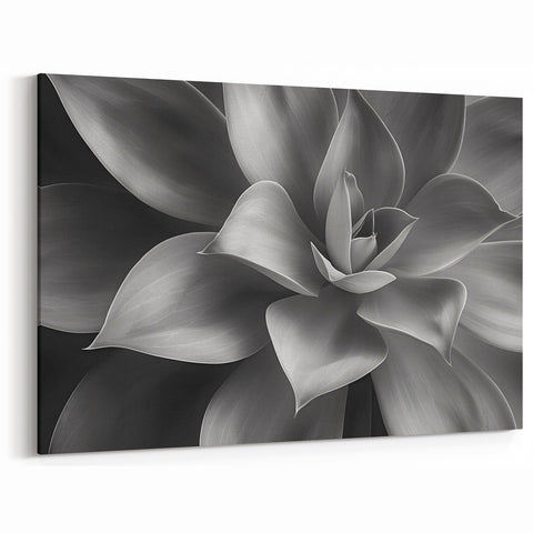 Monochrome Botanical Wall Art - Succulent Close-Up for Modern Decor