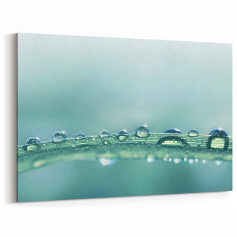 Serene Water Droplets Close-Up - Nature Water Photography Wall Art