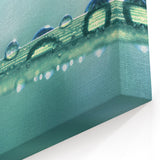 Serene Water Droplets Close-Up - Nature Water Photography Wall Art