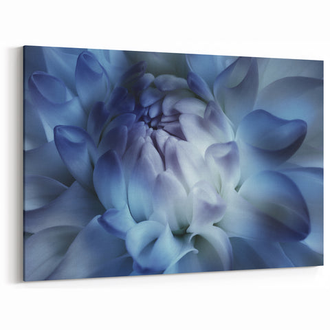 Blue Floral Wall Art - Close-Up Flower Photography for Home Decor