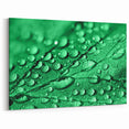Vivid Green Leaf with Water Droplets - Nature Close-Up Wall Art Print