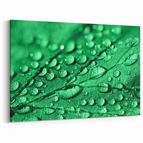 Vivid Green Leaf with Water Droplets - Nature Close-Up Wall Art Print