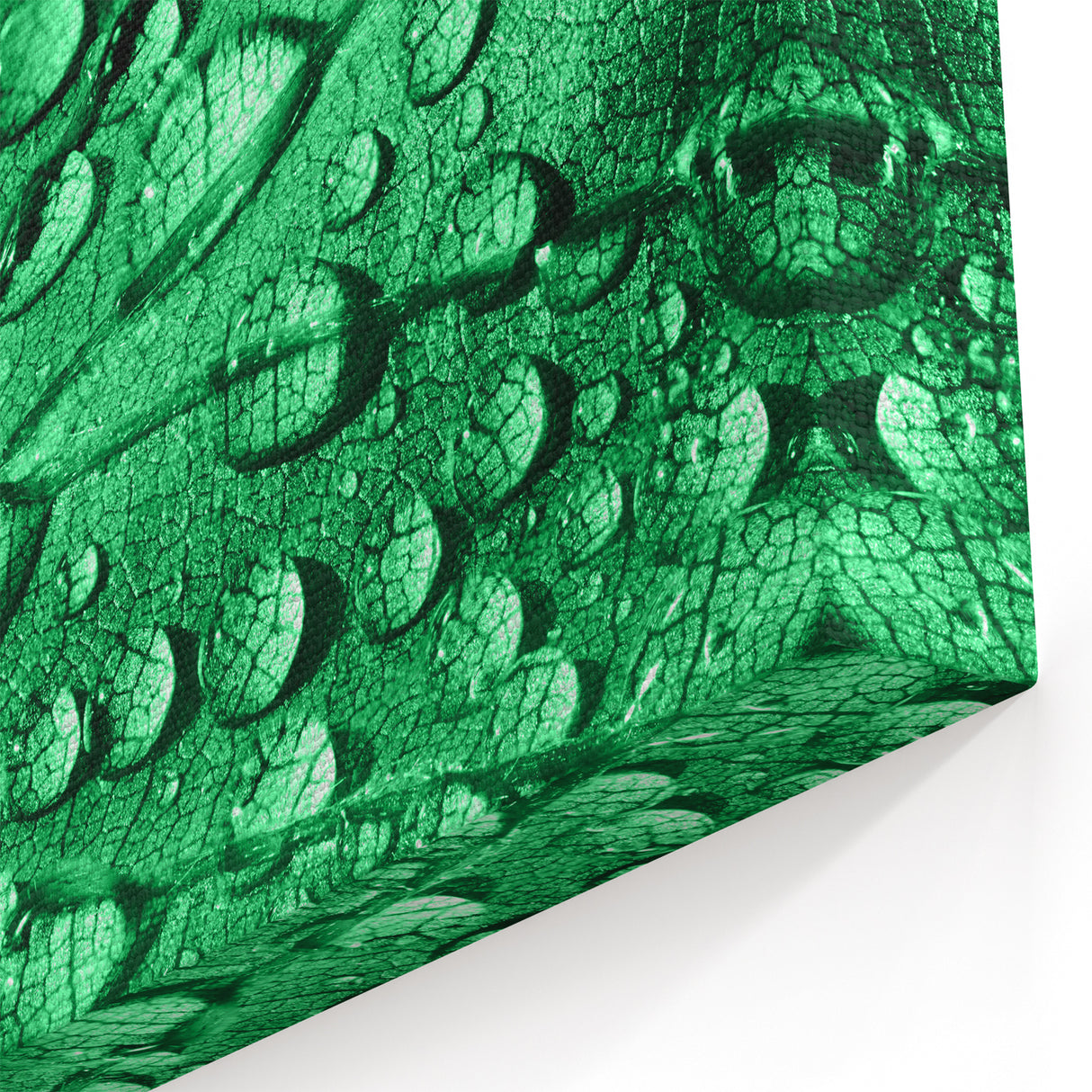 Vivid Green Leaf with Water Droplets - Nature Close-Up Wall Art Print