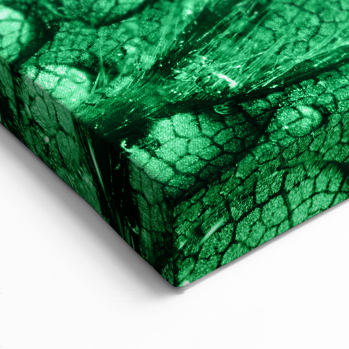 Vivid Green Leaf with Water Droplets - Nature Close-Up Wall Art Print