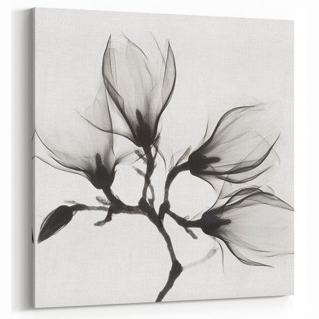 Elegant Black & White Floral Wall Art - Minimalist Flower Photography