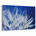 Delicate Water Droplets on Dandelion - Nature Close-Up Wall Art Decor