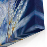 Delicate Water Droplets on Dandelion - Nature Close-Up Wall Art Decor