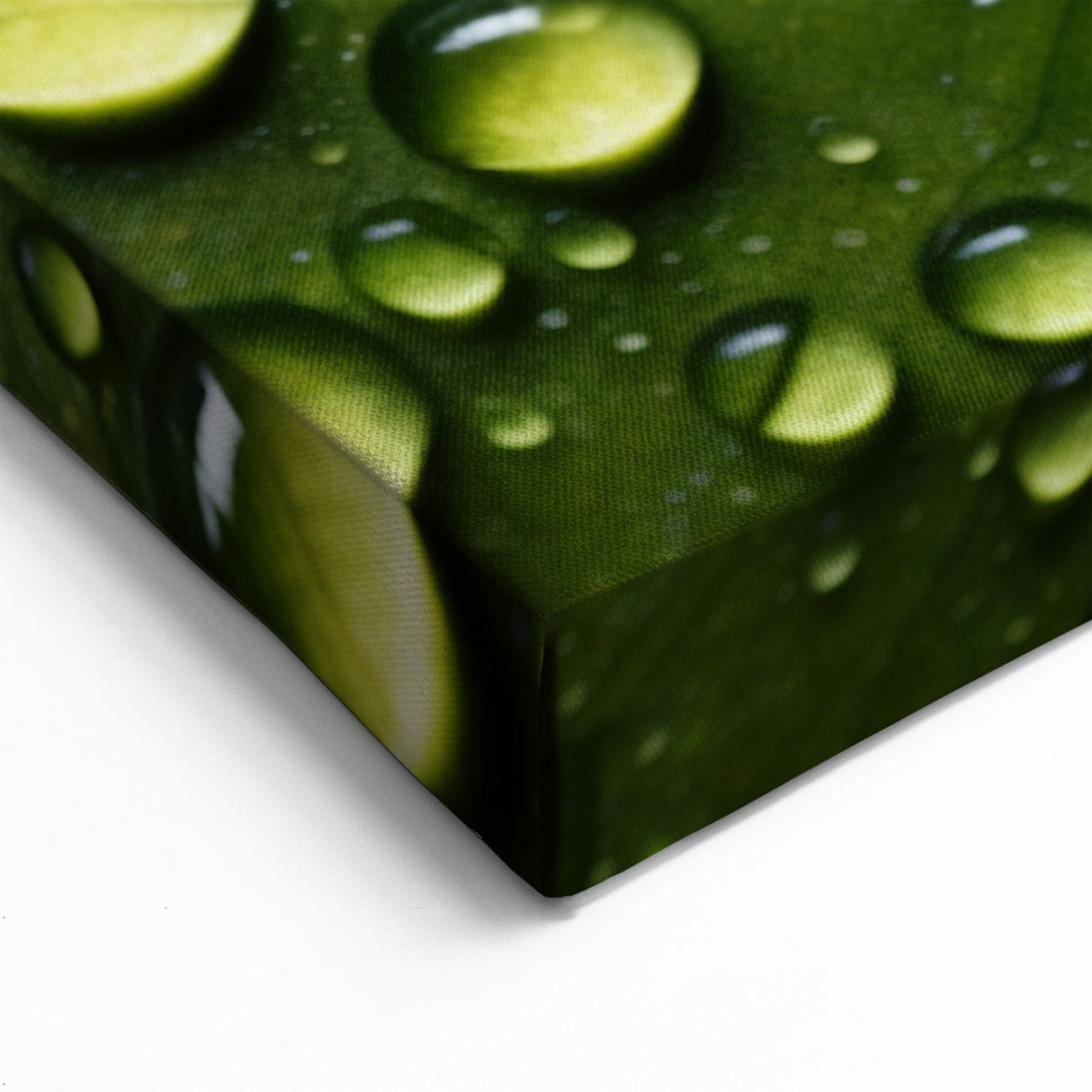 Vibrant Autumn and Green Leaves with Water Droplets - Nature Wall Art