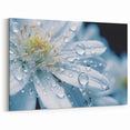 Delicate White Flower with Water Droplets - Nature Close-Up Wall Art