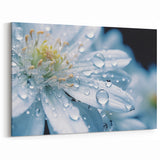 Delicate White Flower with Water Droplets - Nature Close-Up Wall Art