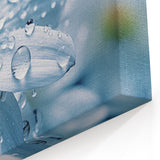 Delicate White Flower with Water Droplets - Nature Close-Up Wall Art
