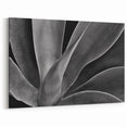 Monochrome Botanical Wall Art - Close-Up Plant Photography for Decor