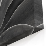 Monochrome Botanical Wall Art - Close-Up Plant Photography for Decor