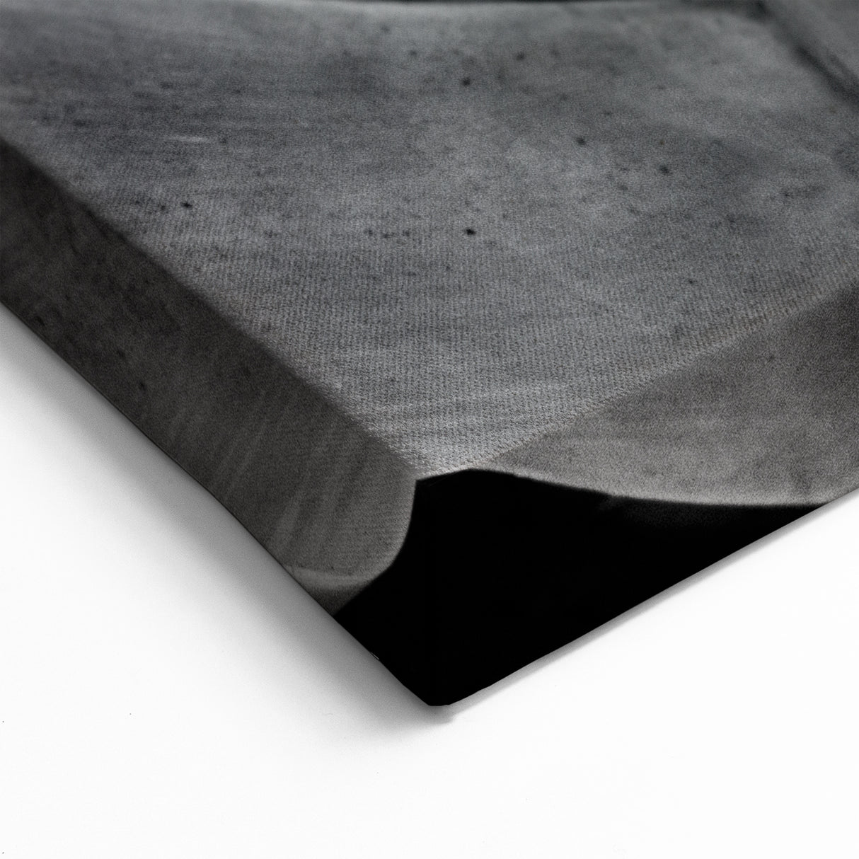 Monochrome Botanical Wall Art - Close-Up Plant Photography for Decor