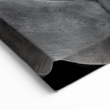Monochrome Botanical Wall Art - Close-Up Plant Photography for Decor