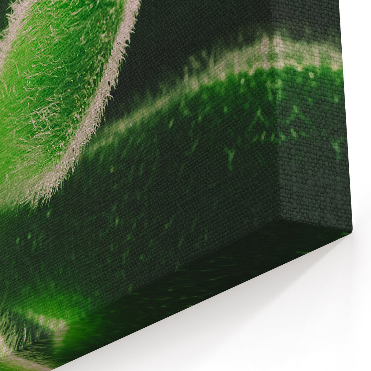 Green Botanical Close-Up Wall Art - Nature-Inspired Leaf Photography