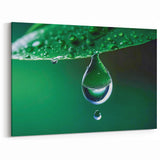 Vivid Green Leaf with Water Droplet Close-Up - Nature Wall Art Decor