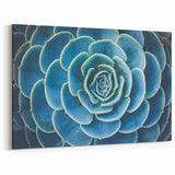 Blue Succulent Wall Art - Nature Close-Up Photography for Modern Decor