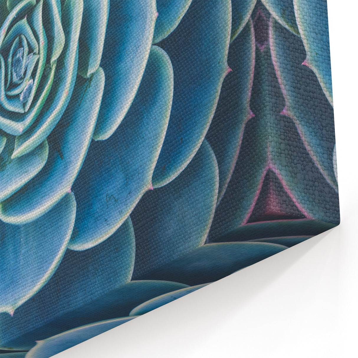 Blue Succulent Wall Art - Nature Close-Up Photography for Modern Decor