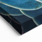 Blue Succulent Wall Art - Nature Close-Up Photography for Modern Decor