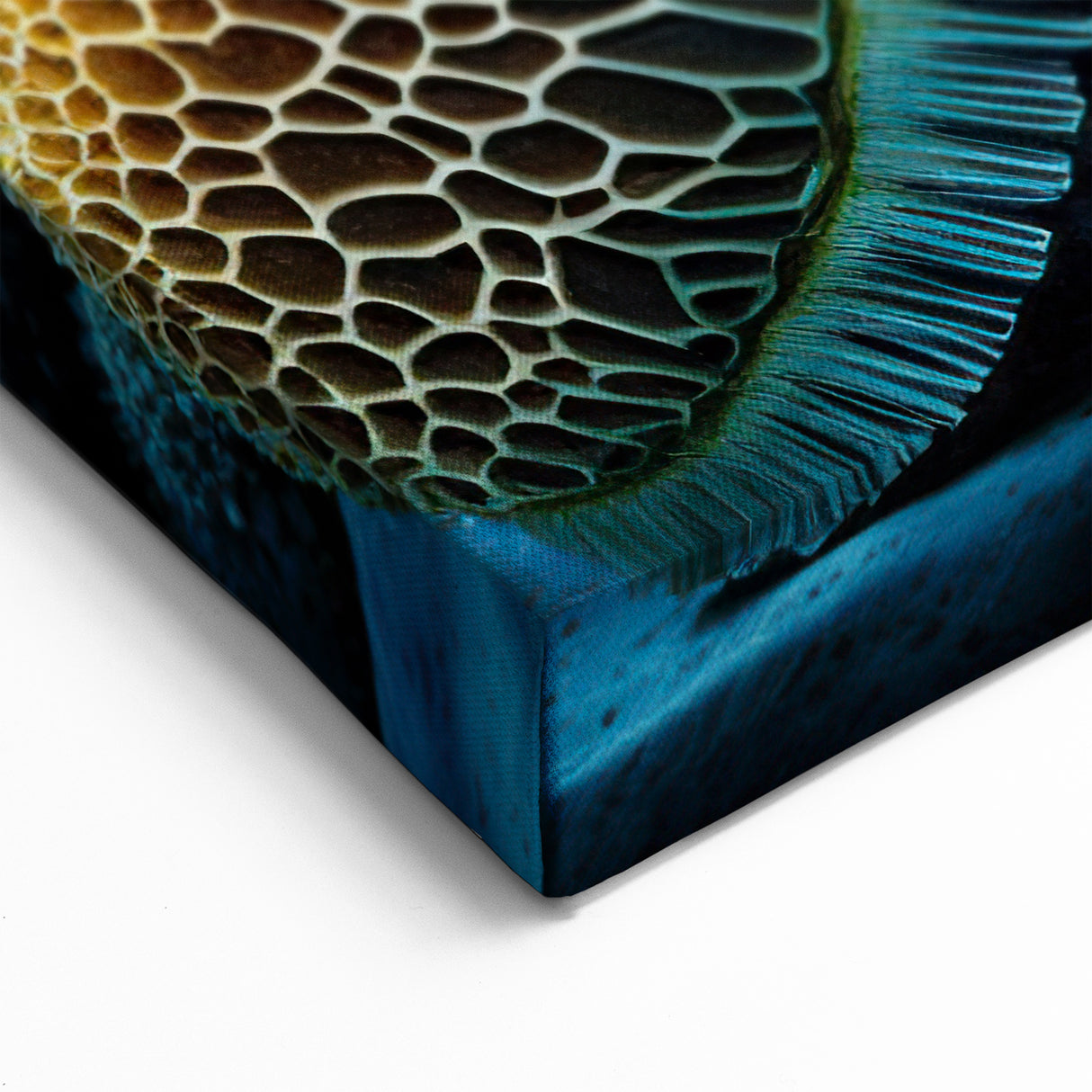 Jamaican Landscape Canvas - Vibrant Coral Reef in Caribbean Waters