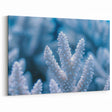 Nature’s Frozen Coral: Ice and Frost Art – Winter Wall Decor Close-Up