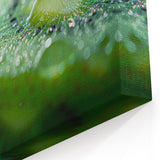 Nature Close-Up Water Art: Dewy Green Serenity – Water-Themed Wall Decor
