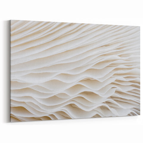 Elegant Leaf Close-Up: White Botanical Leaf Wall Art for Minimalist Decor