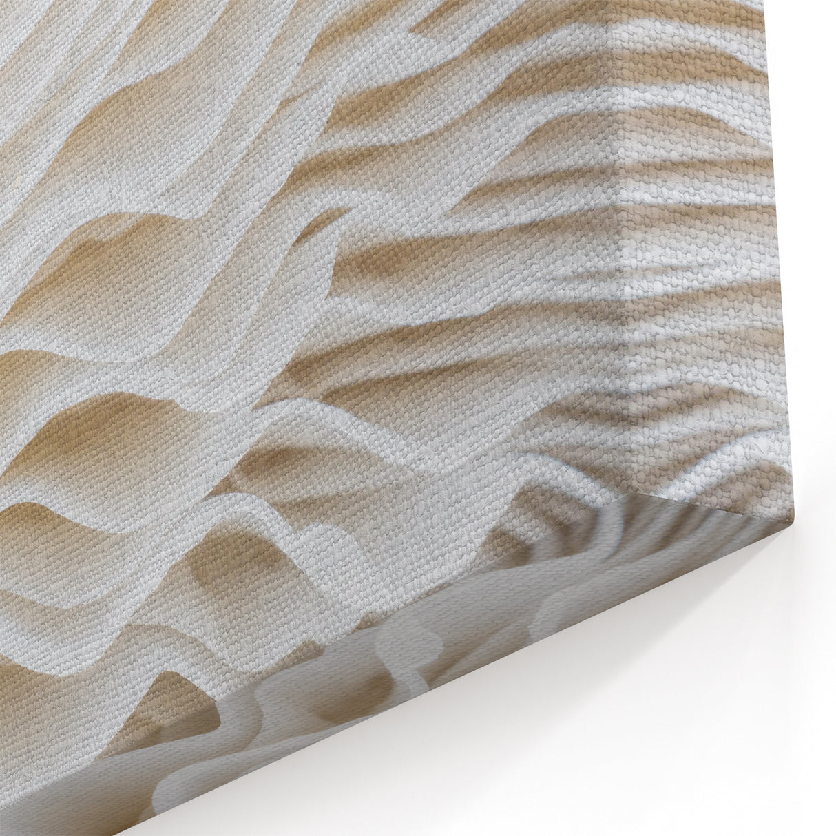 Elegant Leaf Close-Up: White Botanical Leaf Wall Art for Minimalist Decor