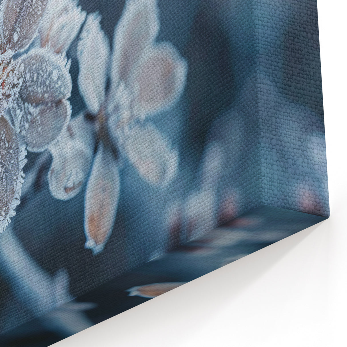 Frosted Blooms: Ice and Frost Art – Winter Wall Decor Nature Close-Up