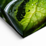 Nature Close-Up Water Photography – Stunning Leaf and Water Art Print