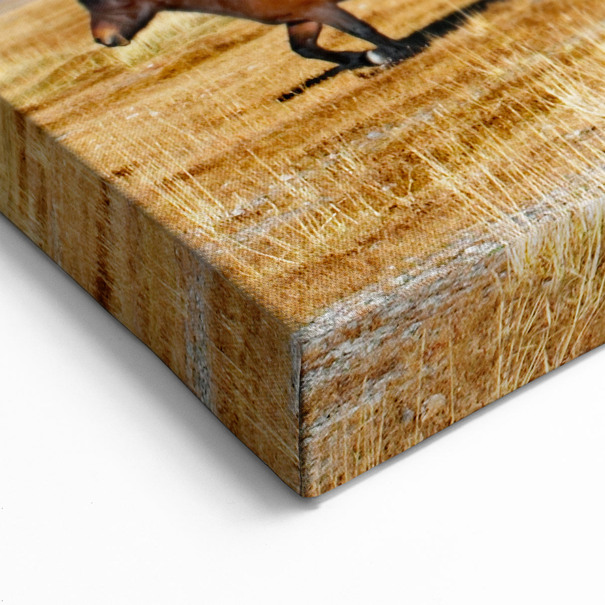 Majestic Mongolian Landscape Art – Wild Horses on Scenic Plains