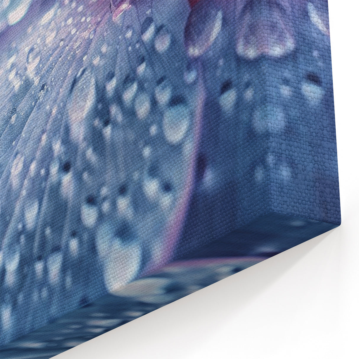 Tranquil Water Wall Art - Nature Close-Up with Water Droplets Canvas Print