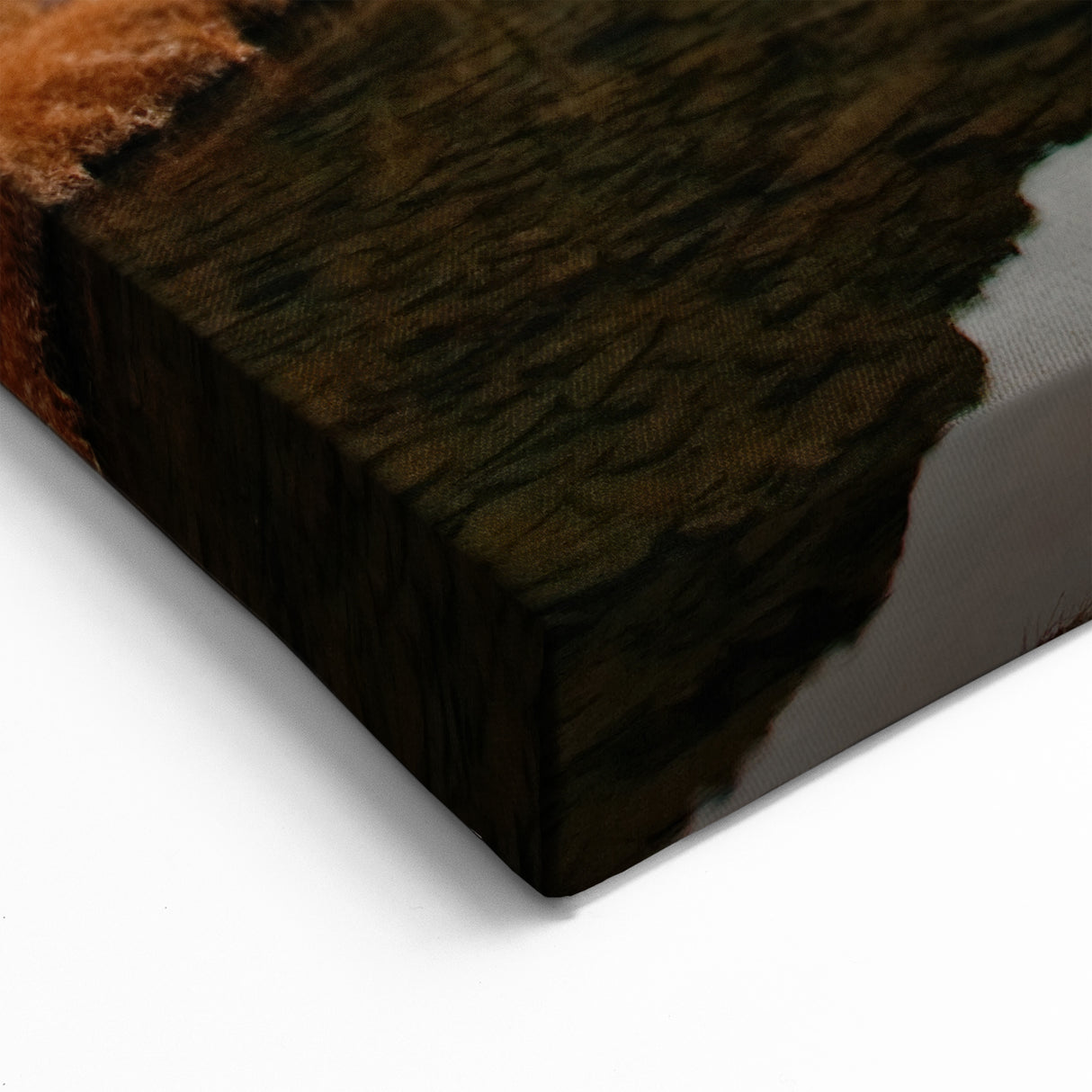 Gobi Desert Art Prints – Sunset Reflections on Mongolian River