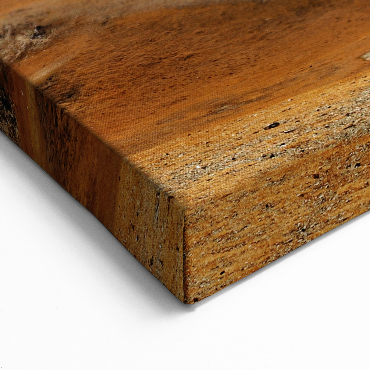 Mongolian Landscape Art – Expansive Plains and Snow-Capped Mountains