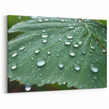 Nature Close-Up Water Photography Art – Scenic Leaf Water Wall Decor