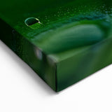 Nature Close-Up Water Art – Water Droplet on Leaf Photography Canvas