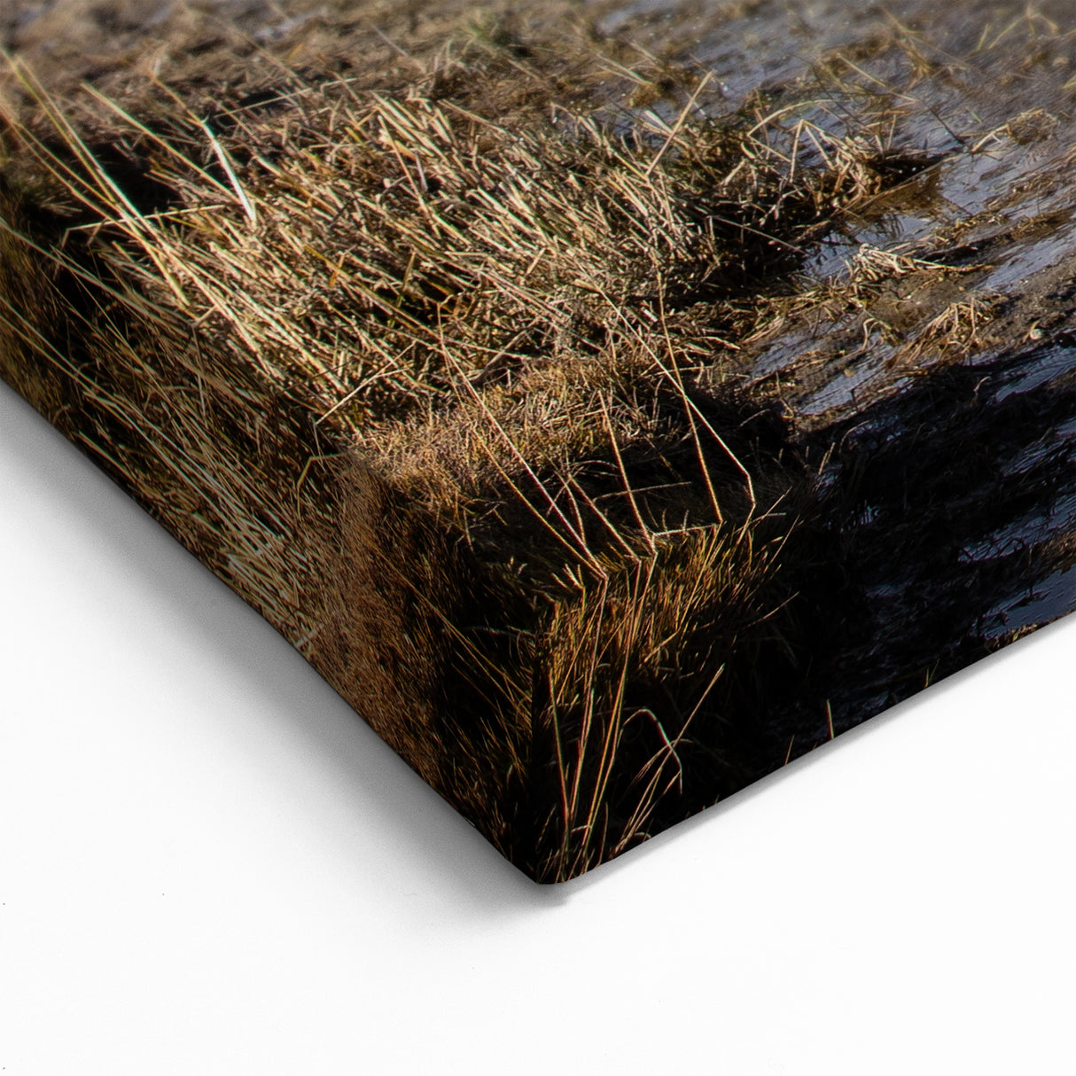 Mongolian Culture Art – Eagle Hunters on Horseback in Mongolia