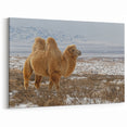 Mongolian Landscape Art – Bactrian Camel in Snowy Mongolian Desert