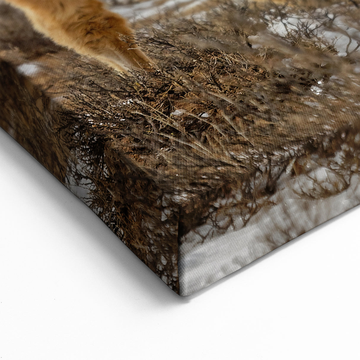 Mongolian Landscape Art – Bactrian Camel in Snowy Mongolian Desert