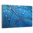 Nature Close-Up Water Art – Blue Feather with Dew Drops Photography Print