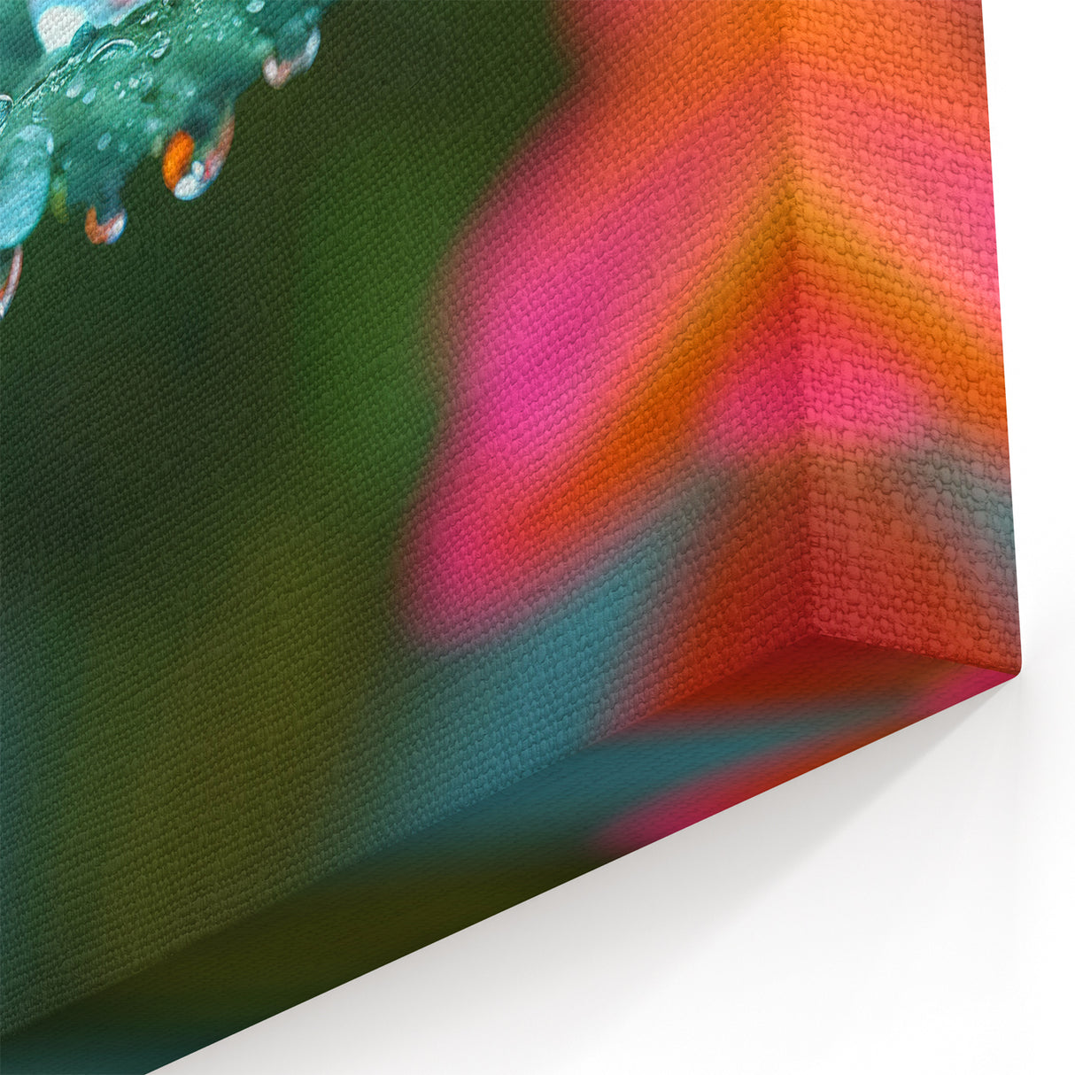Nature Close-Up Water Art – Leaf with Water Droplets and Color Reflections