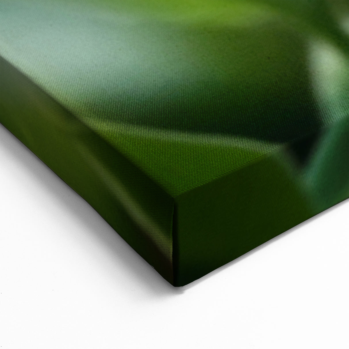 Nature Close-Up Water Art – Dew Drops on Leaf Photography Wall Decor