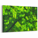 Vibrant Green Leaf Wall Art - Botanical Leaf Photography for Home Decor
