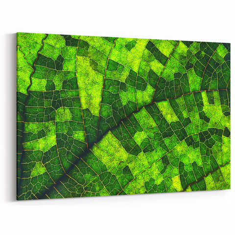 Vibrant Green Leaf Wall Art - Botanical Leaf Photography for Home Decor