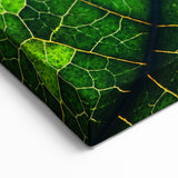 Vibrant Green Leaf Wall Art - Botanical Leaf Photography for Home Decor