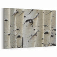 Nature Close-Up Tree Wall Art | Birch Tree Canvas Prints for Home Decor