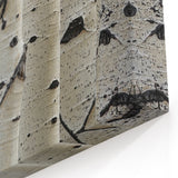 Nature Close-Up Tree Wall Art | Birch Tree Canvas Prints for Home Decor